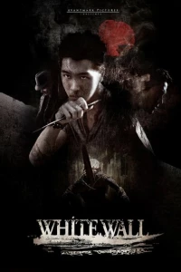 Белая стена (2010) Белая стена (2010)