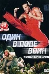 Один в поле воин