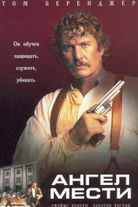 Ангел мести (1995) Ангел мести (1995)