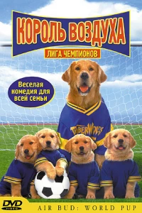 Король воздуха: Лига чемпионов (2000) Король воздуха: Лига чемпионов (2000)