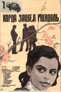 Когда зацвел миндаль