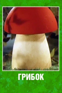 Грибок