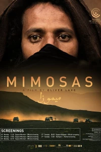 Мимозы (2016) Мимозы (2016)