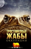 Тростниковые жабы: Оккупация