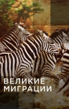 Великие миграции