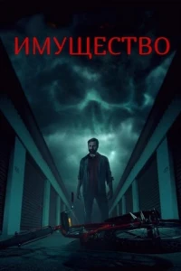 Имущество (2024) Имущество (2024)
