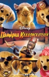 Пятерка кладоискателей