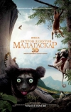 Остров лемуров: Мадагаскар