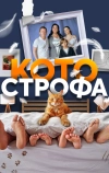 Котострофа