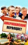 Американский первоцвет