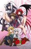 Старшая школа DxD