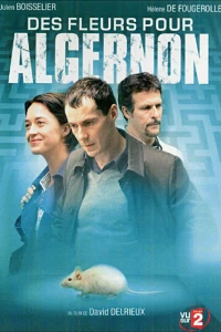 Цветы для Элджернона (2006)