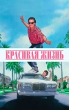 Красивая жизнь