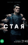 Стая