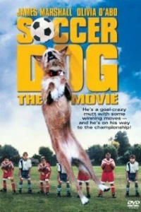 Король футбола (1999) Король футбола (1999)