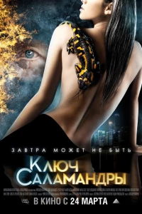 Ключ Саламандры (2011) Ключ Саламандры (2011)