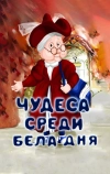 Чудеса среди бела дня