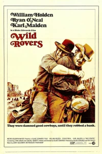 Дикие бродяги (1971) Дикие бродяги (1971)