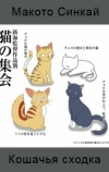 Кошачья сходка