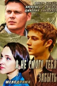 Я не смогу тебя забыть (2013) Я не смогу тебя забыть (2013)