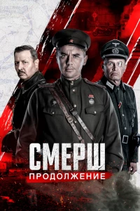 СМЕРШ. Продолжение