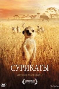 Сурикаты (2007) Сурикаты (2007)