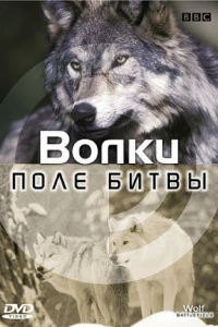 BBC: Поле битвы (2003) BBC: Поле битвы (2003)