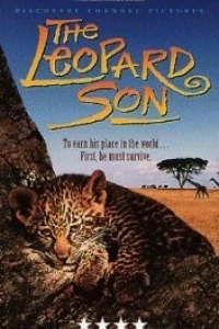 Discovery: Сын леопарда (1996) Discovery: Сын леопарда (1996)